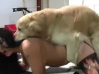 Brown dog banging a beautiful babe's juicy pussy